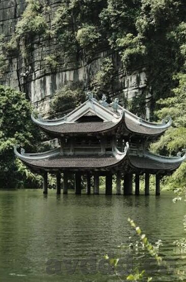 大象传媒 破解-大象传媒的数字迷宫，解码其背后的创新与挑战