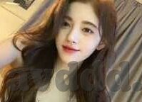 大象视频下载app免费版-探索大象视频下载app免费版，便捷与乐趣的完美结合
