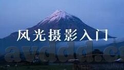 国产麻豆剧果冻传媒-国产麻豆剧在果冻传媒的创新与探索剖析