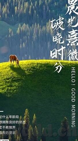 麻豆91入口-麻豆91，一个充盈创意与激情的数字世界