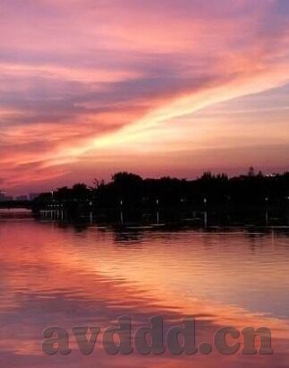 麻豆短视频在线-探寻网络文化新领域，麻豆短视频的在线魅力