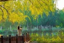 糖心app苹果版-深入体验，糖心App苹果版的独特魅力与实用功能