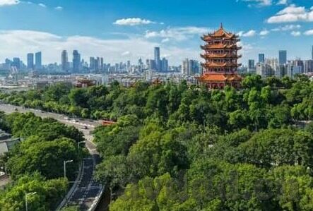 糖心app软件-领略新鲜长三角，糖心App软件带来的多媒体互动新体验